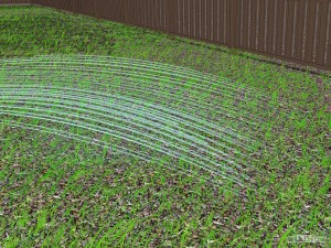 670px-Overseed-Step-11