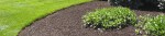 edge-and-mulch